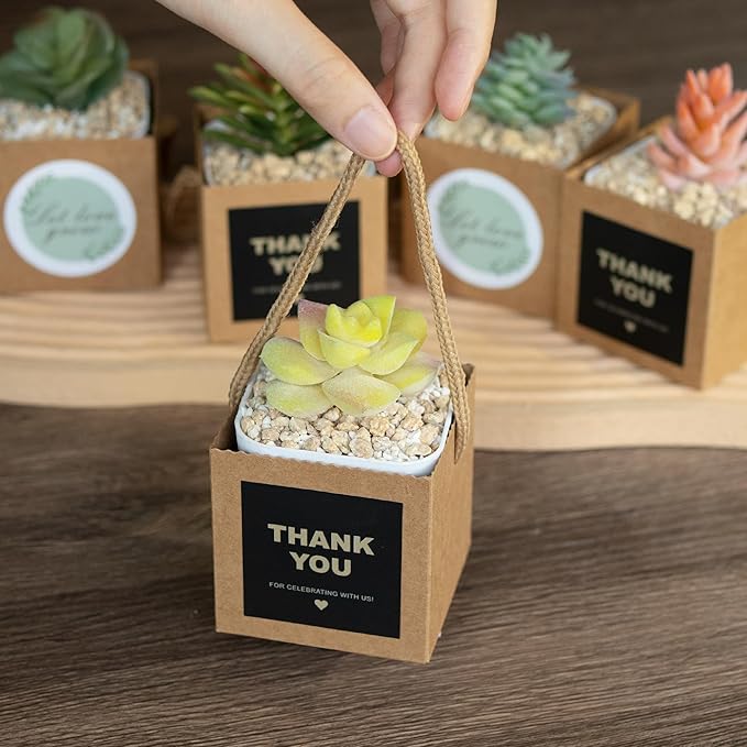 Temlum 2.5 Inch Succulent Wrap Bags (Fits 2.5″ Pots) with Thank You & Let Love Grow Stickers, Small Gift Box for Wedding, Baby Shower, Succulent Party Favors for Guests (Brown 40pcs)