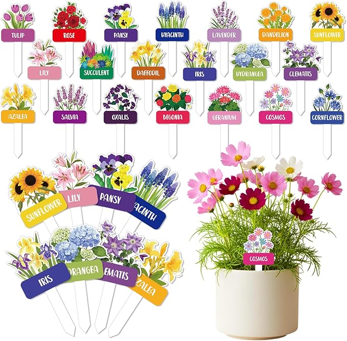 20 Pcs Acrylic Flower Plant Label Signs 20 Style Plant Stake Tags with Names Waterproof Herb Garden Markers Reusable Labels Markers for Seedlings Nursery Garden Succulent Flowers Greenery