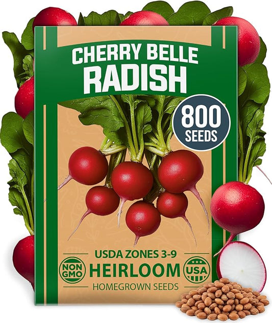 HOME GROWN Cherry Belle Radish Seeds 800+ Non GMO Heirloom Vegetable Seeds for Planting Outdoors Harvest in 30 Days Red Radishes, Spring and Fall Gardens (Raphanus Sativus)