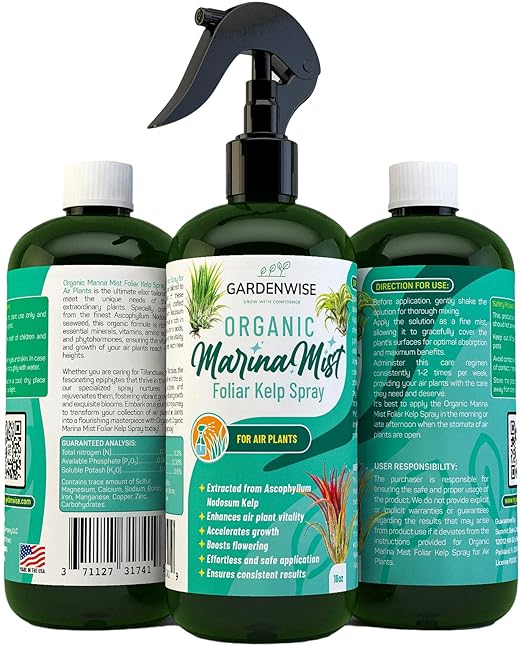 Organic Marina Mist Kelp Air Plants Fertilizer Spray | Plant Food for Tillandsia Air Plants | Air Plant Mister - Enhances Bloom, Vitality, and Pup Growth (16 OZ)