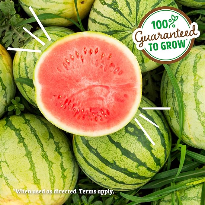 Back to the Roots Watermelon Grow Kit