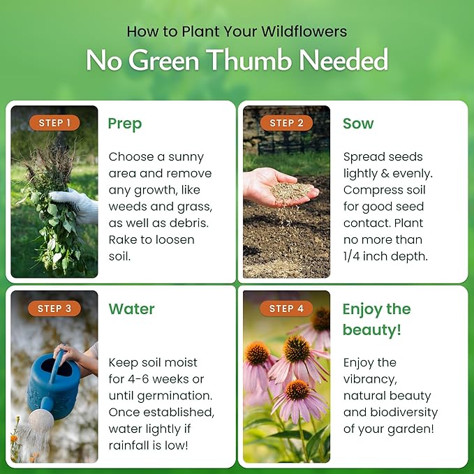 Created By Nature New York Wildflower Seed Mix, 15 Flower Variety, 50,000 Seeds