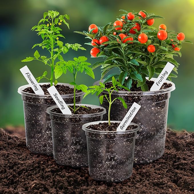 Bonviee 36 Packs 6.7/5/4/3.5 Inch Clear Nursery Pots for Plants, Reinforced Clear Nursery Pots with Drainage Hole,Transparent Plastic Plant Pot Seedling Planter Seed Starter Flower