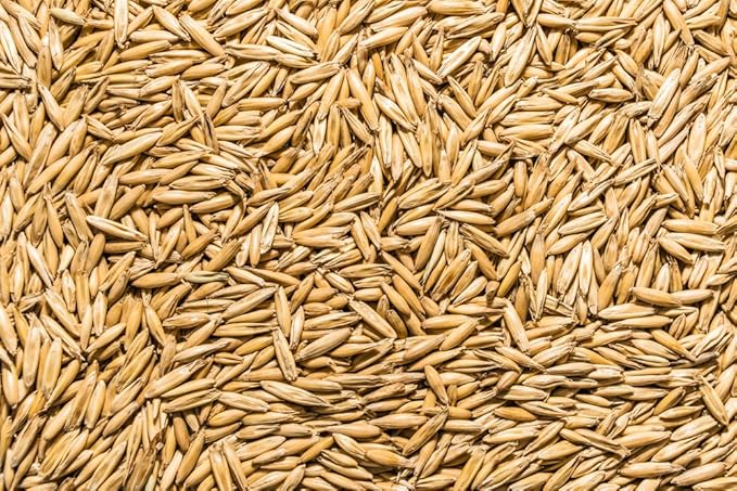Thunder Acres 4 Seed Sample Pack - Wheat, Oat, Rye, Barley