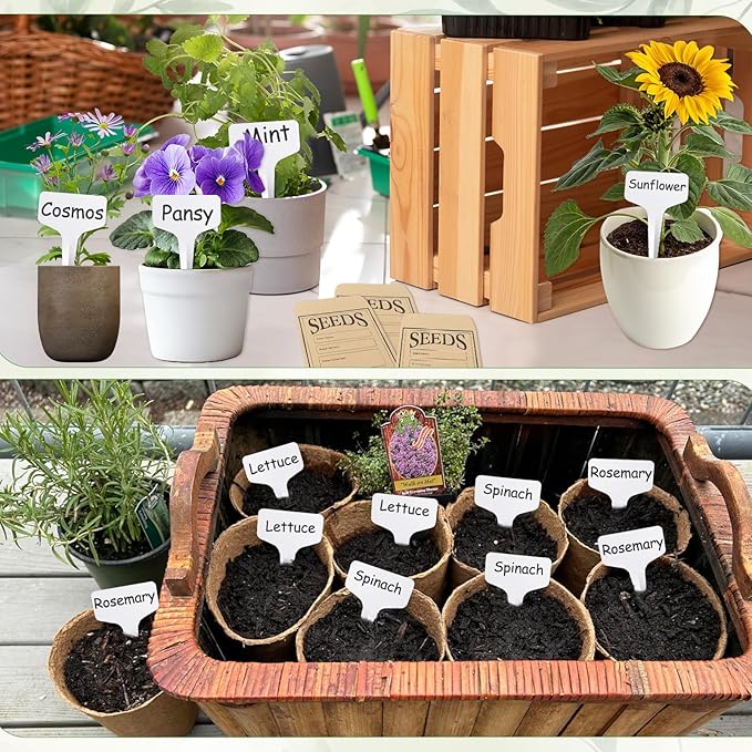 57 Slots Seed Storage Organizer Box with 0.6 oz 1.5 oz Garden Seed Containers, Label Stickers, Plant Label, Envelopes, Zipper Closure Seed Holder Organizer Kit for Vegetable/Flower/Plants Seed Saving