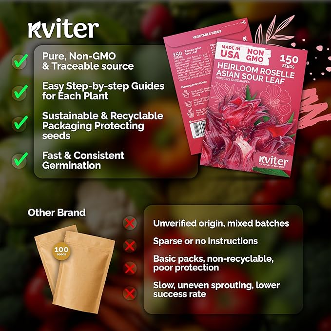 KVITER 150 Roselle Seeds for Planting (Hibiscus Sabdariffa) – Jamaican Sorrel/Cranberry Hibisco Seeds/Gongura Seed/Sour Leaf Seed – Perfect for Hibiscus Tea Organic, Outdoor & Indoor Garden