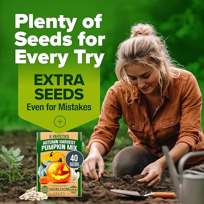 HOME GROWN 5 Pumpkin Seeds Mix - 40 Seeds Heirloom Pumpkin for Planting Ideal Garden for Unique Varieties Yellow Paris and Casper, Culinary and Decorative Use