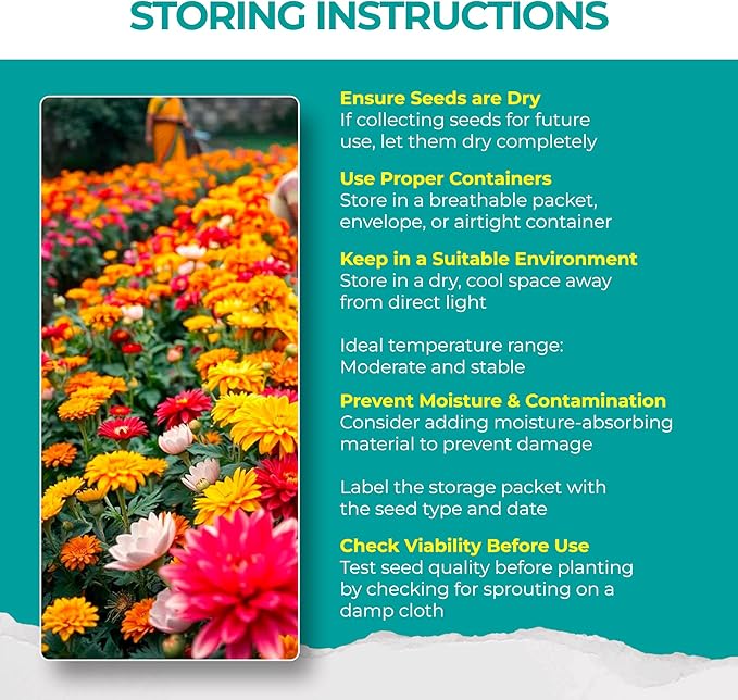 1700 + Mixed Combo Flower Seed Varieties for Your Home Garden, 35 Varieties Including Petunia, Zinnia, Sunflower Seeds and More, Attracts Pollinators, Non- GMO and Heirloom Seeds