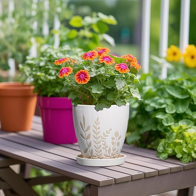 6 Inch Plant Pot with Drainage and Saucer - Small Decorative Flower Pot for Succulents Herbs Plants, Indoor Succulent Planter, Desk Office Room Home Decor, Gifts for Plant Lovers, White