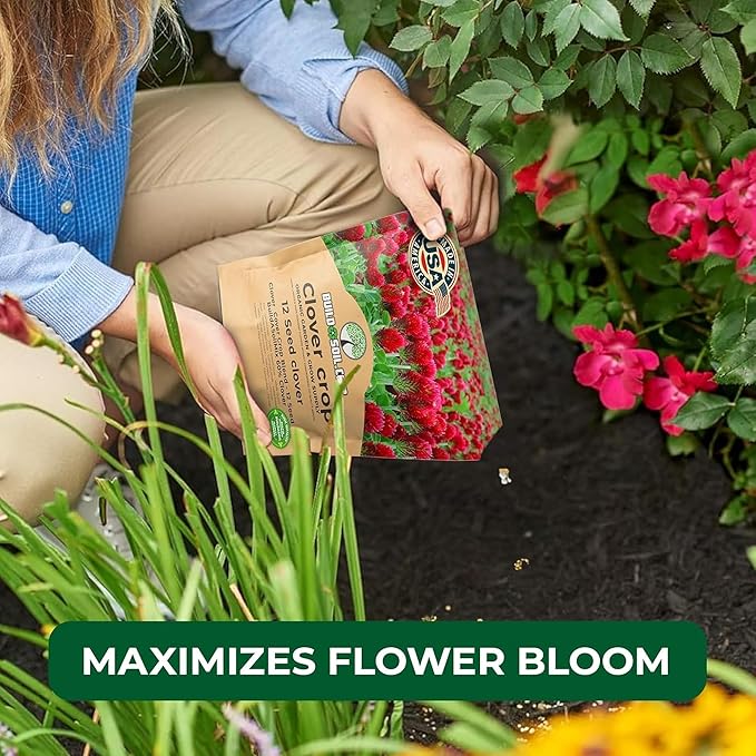BuildASoil No-Till Clover Seed Cover Crop Blend 12 Species Cover Crop Seed Mix Premium Clover Seeds for Lawn - Plants Friendly Cover Crop for Garden - 60% Clover (1 lb Bag)