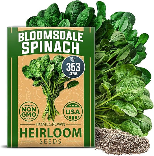 HOME GROWN Bloomsdale Spinach Seeds Pack – 353 Heirloom Seeds – High Germination Spinach for Indoor, Outdoor, Hydroponic Planting & Home Gardens (Spinacia oleracea)