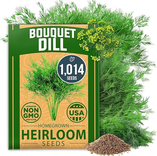 HOME GROWN Dill Seeds for Planting 1,014 Bouquet Dill Seeds and Heirloom Herb Seeds for Planting Outdoors, Grow Your Fragrant Dill Herb Garden (Anethum graveolens)