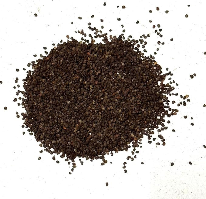 Purple Grape Poppy Seeds - Tall Poppy with Black Markings - 3000 Seeds