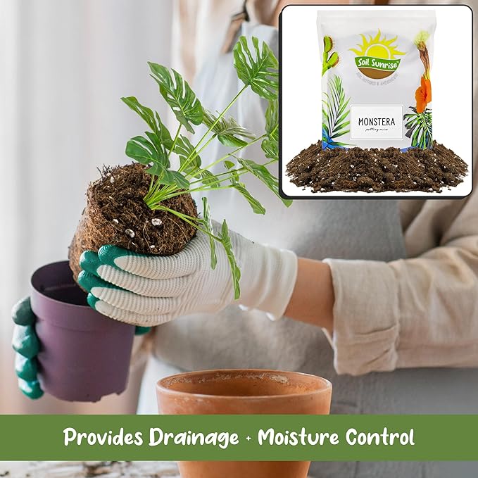 Soil Sunrise Monstera Houseplant Potting Soil Mix (12 Quarts) Custom Blend for Growing and Repotting