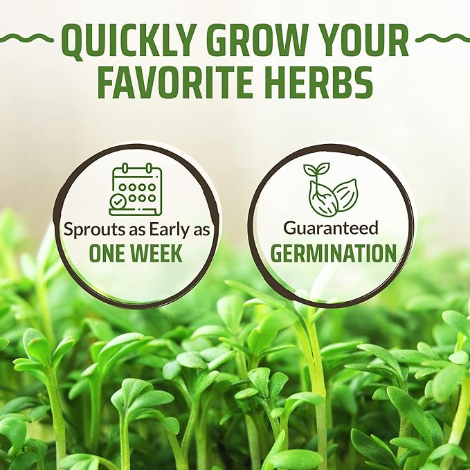 17 Herb Culinary Seed Vault – 5200+ Heirloom Seeds for Indoor/Outdoor or Hydroponic Gardens – High Germination | Cilantro, Mint, Chives, Basil, Parsley & More