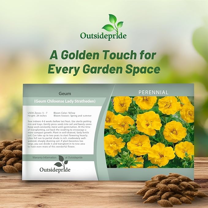 Outsidepride Lady Stratheden Geum Seeds - 1000 Pcs Easy to Grow Perennial Flower Seeds for Planting with Vibrant Blooms Attractive to Pollinators, for Cut Flower Arrangements, Borders, & Flower Beds