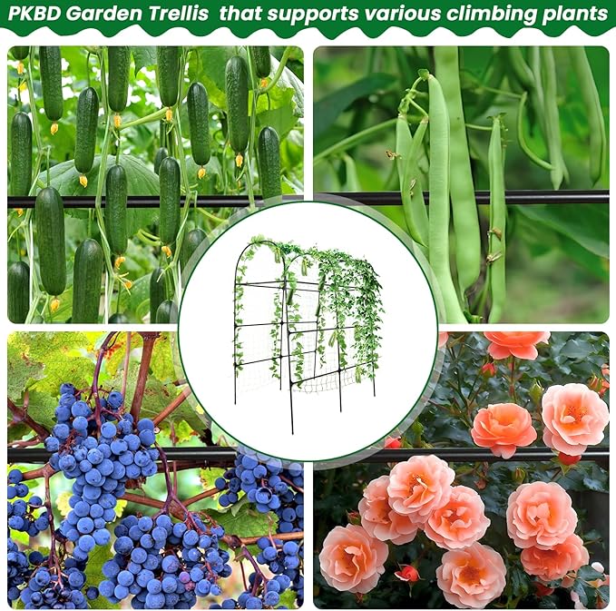 Tall Garden Arch Trellis for Climbing Plants Outdoor, 7 ft Tall Polyethylene-Coated Stainless Steel Garden Arch for Climbing Vine Vegetable/Fruit/Flower, Cucumber Trellis for Raised Bed, Black