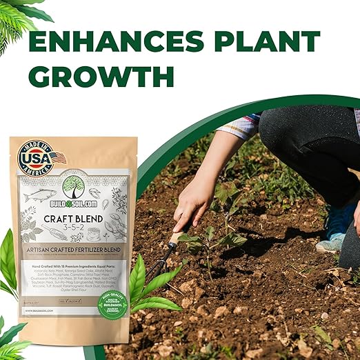 BuildASoil Fertilizer for Vegetable Garden and Organic Plant Food | Hand-Crafted Organic Fertilizer with 15 Premium Ingredients | Ensures Larger Plants and More Fragrant Flowers (3 LB - Small Bag)