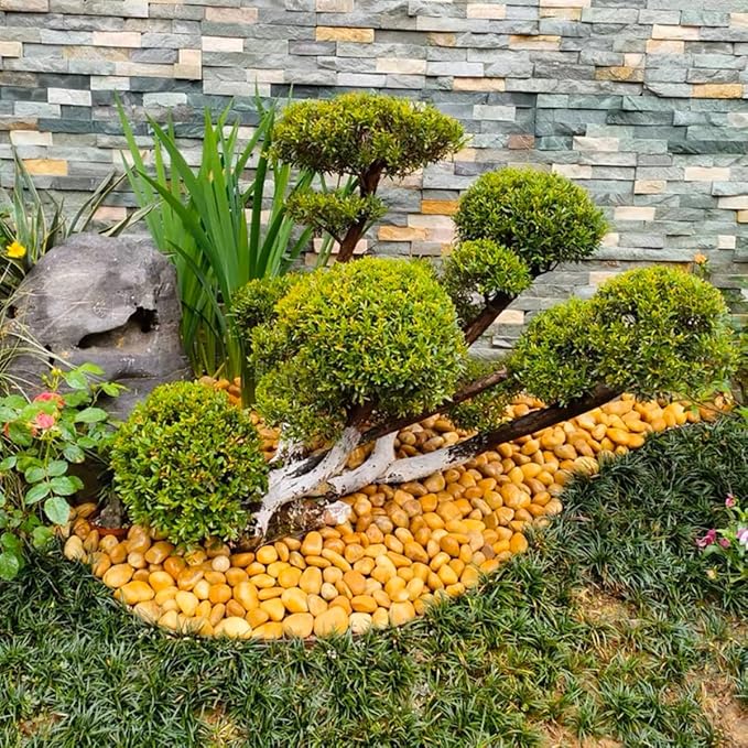 10lbs Yellow River Rocks, 1-2 Inch Natural Pebbles for Indoor Plants, High Polished Decorative Stones Vase Filler Fish Tank Aquariums Landscaping Garden