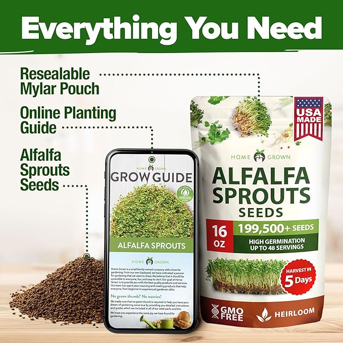 HOME GROWN Alfalfa Sprout Seeds 199,500+ 16oz Bulk Pack with Thousands of Seeds Alfalfa for Sprouting & Microgreens Indoor Outdoor Growing Resealable Bag High Germination