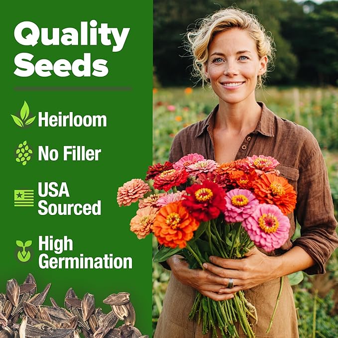 HOME GROWN Zinnia Dahlia Seeds Pack for 2026 – 524 Non GMO Flower Seeds | Vibrant Zinnia Elegans for Pollinator Gardens, Borders & Containers | Easy-to-Grow Outdoor Blooms