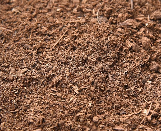 Organic Sphagnum Peat Moss by Perfect Plants - Absorbs Essential Nutrients When Added to Soil and Enriches Plant Roots - Indoor and Outdoor Use (8qts.)