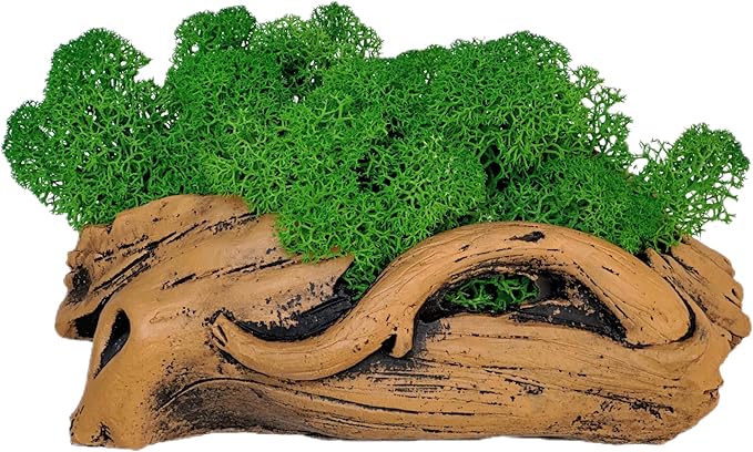Moss Centerpiece 6in, Handmade Artificial Bonsai with Real Moss, No Maintenance
