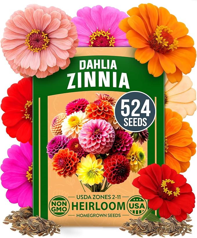 HOME GROWN Zinnia Dahlia Seeds Pack for 2026 – 524 Non GMO Flower Seeds | Vibrant Zinnia Elegans for Pollinator Gardens, Borders & Containers | Easy-to-Grow Outdoor Blooms