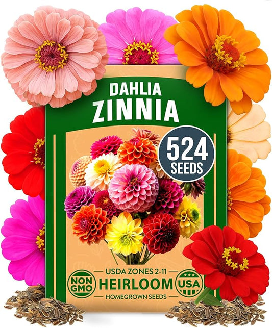 HOME GROWN Zinnia Dahlia Seeds Pack for 2026 – 524 Non GMO Flower Seeds | Vibrant Zinnia Elegans for Pollinator Gardens, Borders & Containers | Easy-to-Grow Outdoor Blooms