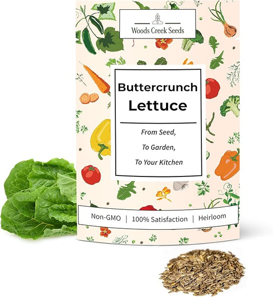 Woods Creek Seeds: Buttercrunch Heirloom Lettuce Seeds for Planting - Over 2,700 Non-GMO Seed Pack for Indoors, Outdoors, or as Hydroponic Seeds - Beginner-Friendly Green Leaf Lettuce Seed