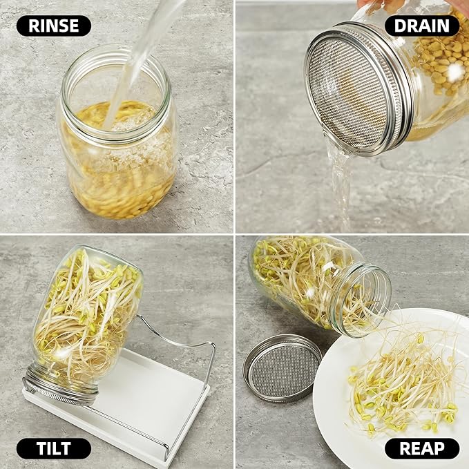 Sprouting Jar Kit Seed Sprouter Set for Growing Broccoli, Alfalfa, Mung Bea, Premium Stainless Steel Screen Sprout Lids, 2 Wide Mouth Mason Jars, Blackout Sleeves, Tray, Stand and Canning Brush
