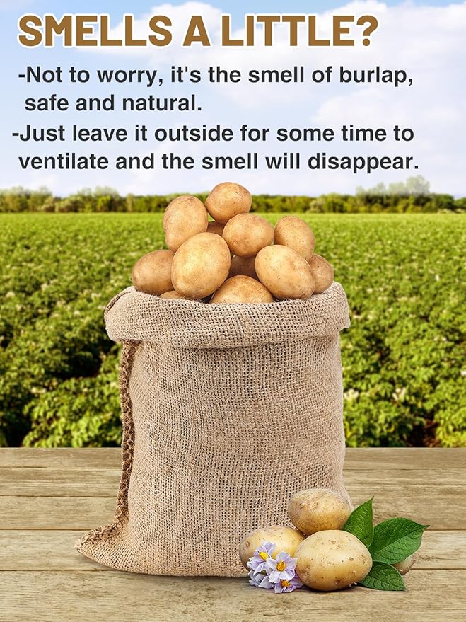 ANPHSIN 4Pcs Breathable Natural Burlap Bags - 16"x24" Reusable Thicken Jute Potato Onion Food Storage Sacks with Rope
