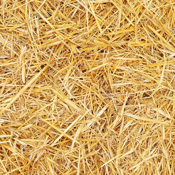 100% Natural Wheat Straw for Animal Bedding, Garden Mulch, Compost & Fertilizer, and Grass Cover (12 Ounces)