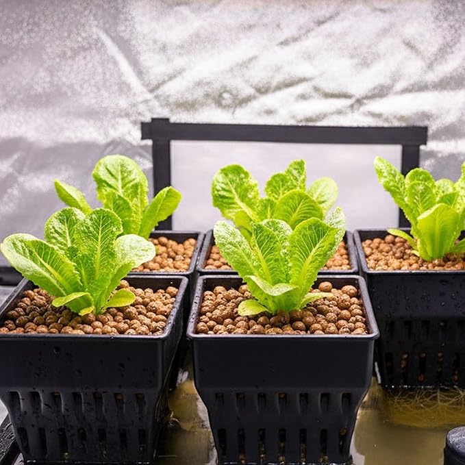 Seed Starter Pots with Tray, 8 Cell Reusable Square Nursery Pots for Seedlings with Drainage Holes, Indoor Outdoor Plastic Gardening Containers for Herbs, Flowers & Vegetables (Black)
