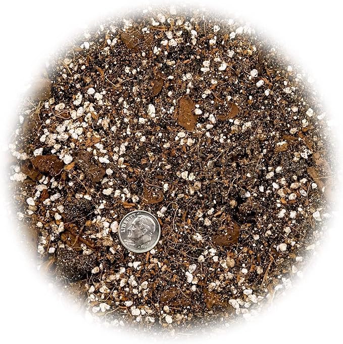 Gardenera Organic Banana Tree Soil Mix - Specially Designed for Thriving Banana Plants - Nutrient-Rich Blend for Healthy Root Development and Lush Foliage (2 Quart)