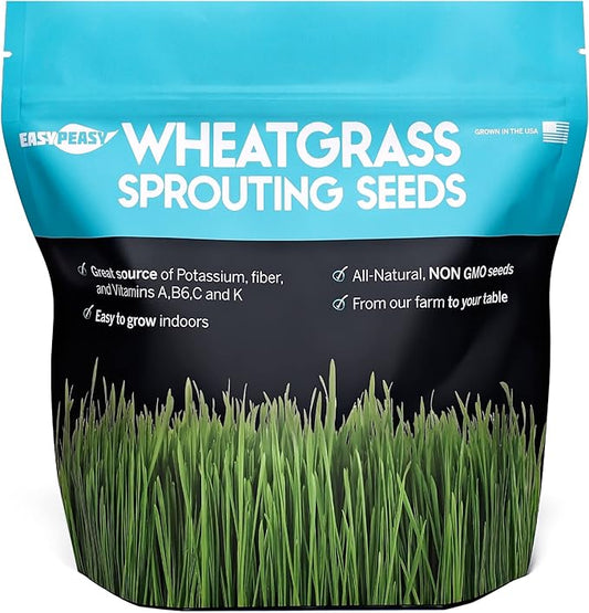 Wheatgrass Seeds | Non GMO | Grown in USA Wheat Grass Seeds | from Our Farm to Your Table (2 Pound)