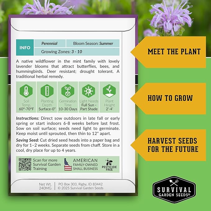 Survival Garden Seeds - Bergamot Herb (Bee Balm) Seed for Planting - 1 Packet with Instructions to Grow Monarda Fistulosa Wildflowers in Your Home Vegetable Garden - Non-GMO Heirloom Variety