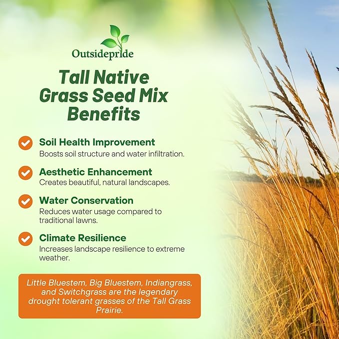 Outsidepride Perennial Tall Native Grass Seed Mix - 5 lbs. Blend of Drought-Tolerant, Low-Maintenance Bluestem, Switchgrass & Indian Grass Seeds for Wildlife Habitat, Erosion Control & Landscaping
