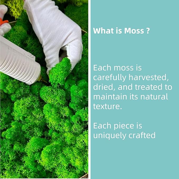 Moss Centerpiece 6in, Handmade Artificial Bonsai with Real Moss, No Maintenance