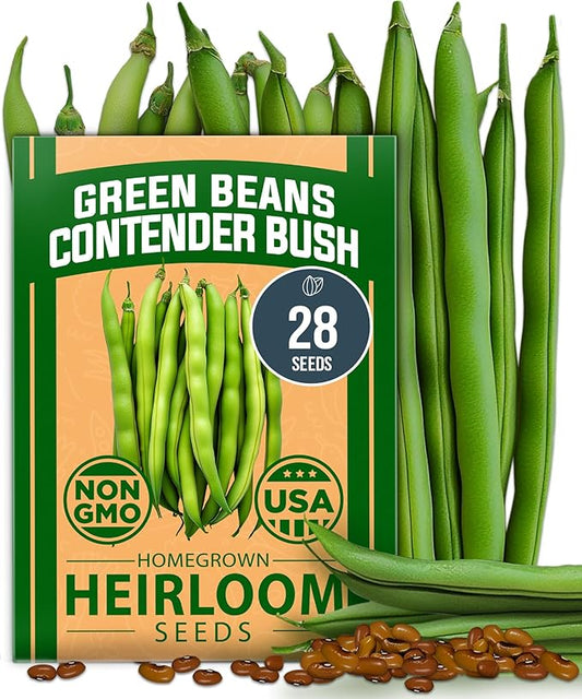 HOME GROWN Contender Bush Bean Pack - 28 Heirloom Green Beans, Vegetable Seeds for Planting, Emergency Food Supply (Phaseolus vulgaris)