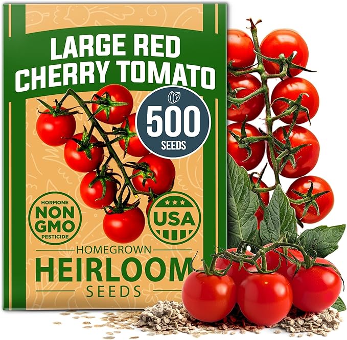 HOME GROWN Large Red Cherry Tomato Seeds Pack– 500 High Germination Heirloom Seeds – Non GMO Vegetable Seeds for Garden,Homestead & Self-Sufficient Growing(Solanum lycopersicum)