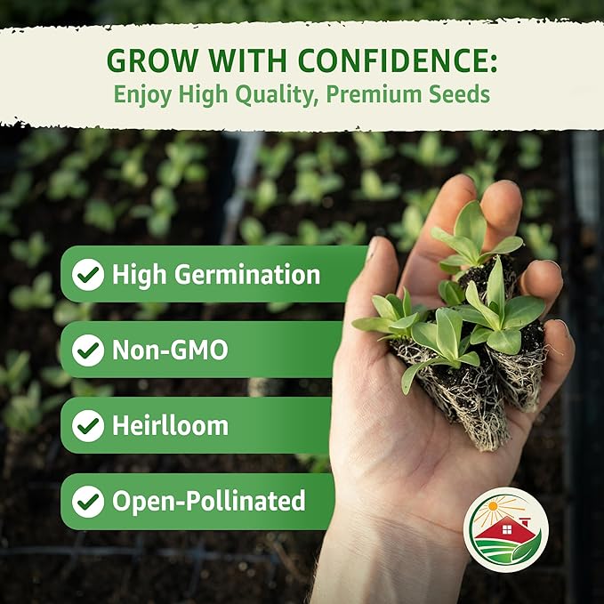 TKE Farms & Gardens - Black Beauty Eggplant Seeds for Planting, 2 Grams, 400+ Heirloom, Non-GMO Seeds, Ideal for Gardens, Containers, or Raised Beds, Easy-to-Follow Instructions, Solanum melongena