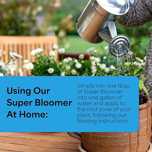 Grow More Super Bloomer 15-30-15 Fertilizer - 1.5lbs of Flower Fertilizer Bloom Booster - Flower Food for Flowers of All Types - Water-Soluble Bulb Food with Chelated Iron and Manganese