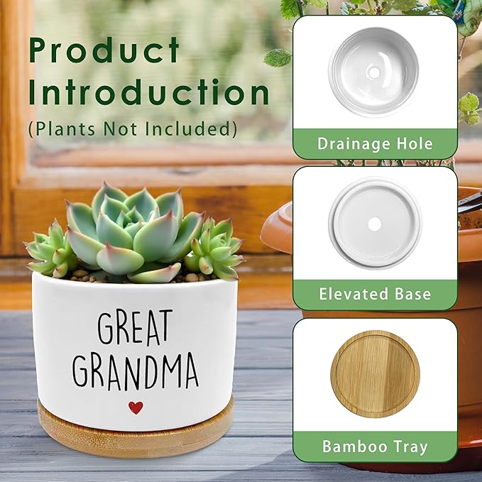Great Grandma Gifts Plant Pots, Gifts for Great-Grandma Succulent Planters, Great Grandmother Gift Ceramic Plant Flower Pots for Home Office Desk Table Shelf(No Plants)