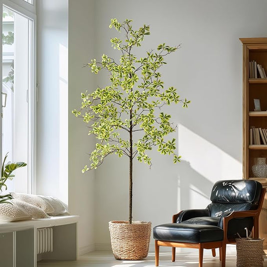 7FT Artificial Black Olive Tree Artificial Olive Plants, Tall Faux Olive Tree Faux Silk Plant Fake Plant Ultra-Realistic Silk Leaves & Natural Trunk Indoor Outdoor Use