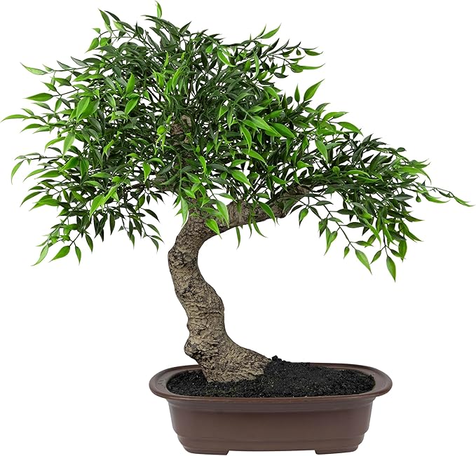 Mini Bonsai Artificial Tree in a Pot - 18”