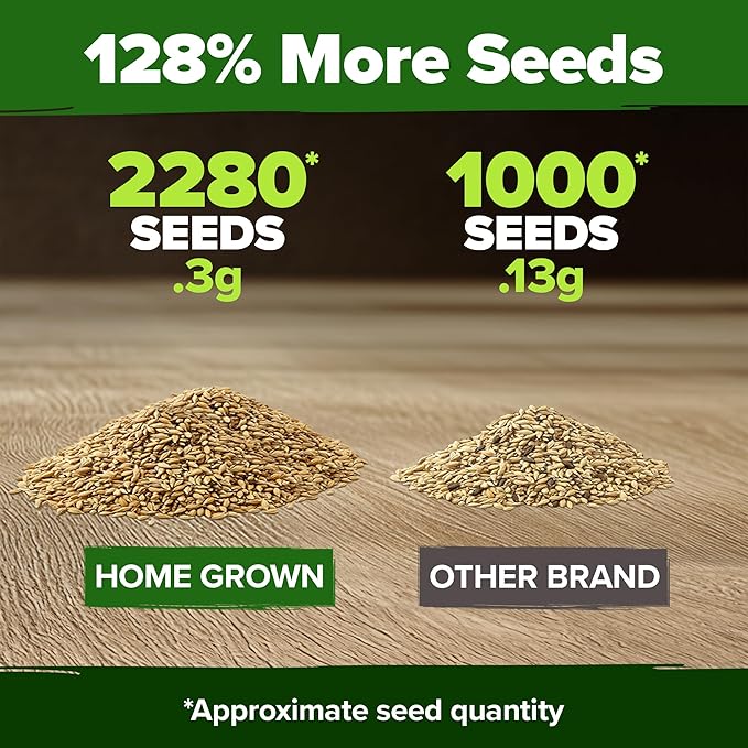 HOME GROWN German Chamomile Seed Pack – 2,280 Non GMO Heirloom Seeds for Planting for Sustainable Gardens and Soothing Medicinal Herbal Teas (Matricaria chamomilla)