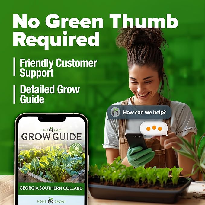 HOME GROWN Collard Greens Georgia Southern - 300 High Germination Heirloom Seeds for Planting in Your Vegetable Garden (Brassica oleracea)