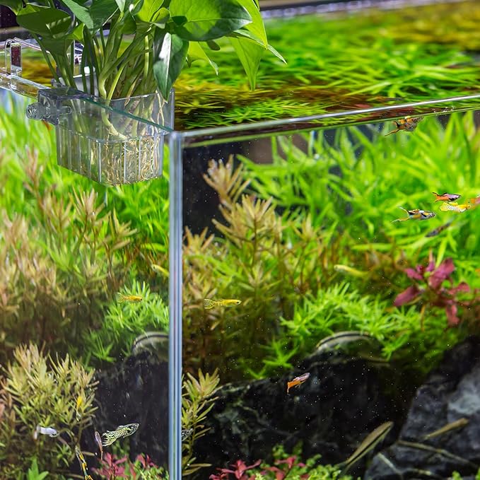 Aquarium Plant Holder,2Pack Transparent Hanging Pot for Fish Tank Aquatic Plant Cultivation and Aquascape Decorations Planter Cups with Hook and Screws
