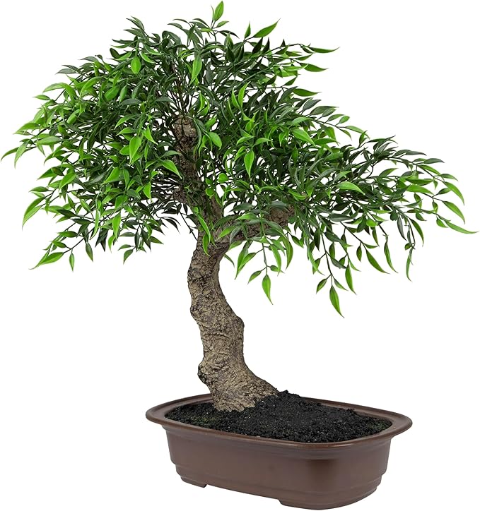 Mini Bonsai Artificial Tree in a Pot - 18”